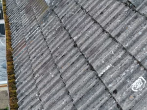 Drohnenaufnahme eines verwitterten Wellendaches mit starkem Moosbefall und einer verstopften Regenrinne im Nordschwarzwald.